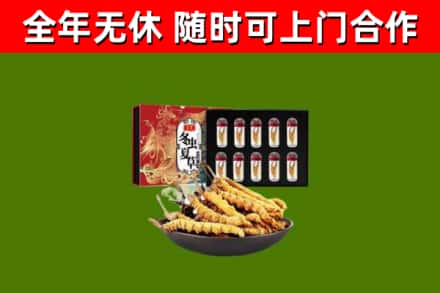 漳州烟酒回收冬虫夏草礼盒.jpg